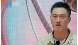 娱乐圈吃瓜爆料贾乃亮,揭秘背后的真相与争议